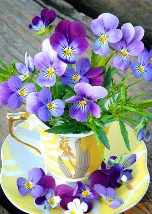 букет - чашка, цветы, анютины глазки - оригинал