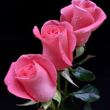 Схема вышивки «Поздравляю!»