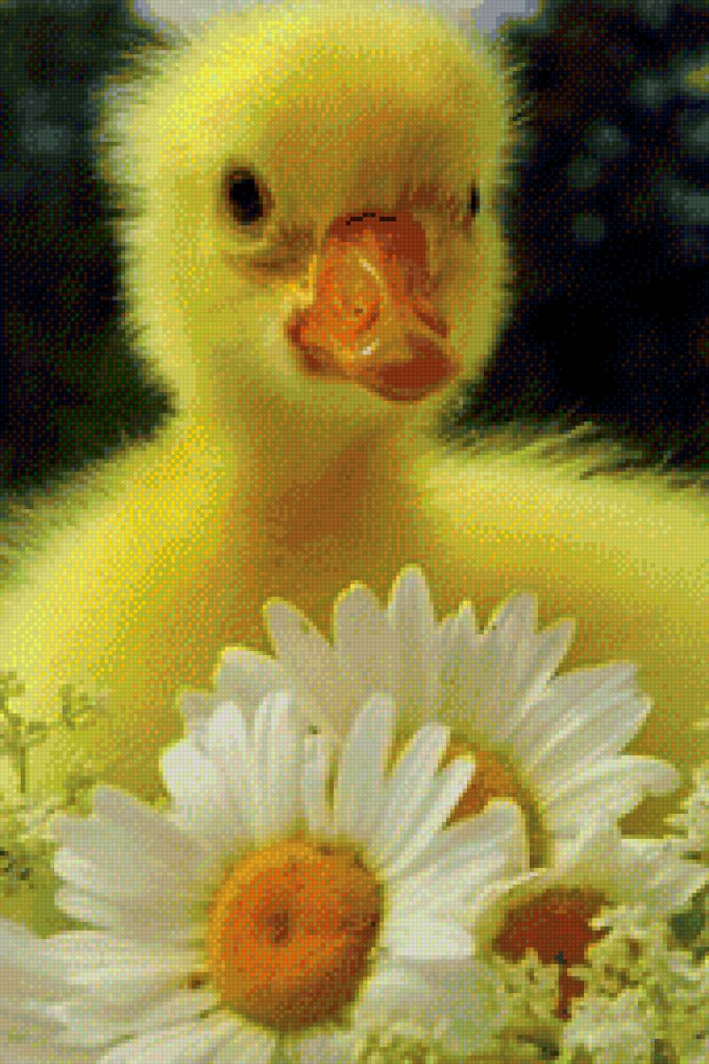 Солнечный пушистик - домашние животные, цветы - предпросмотр