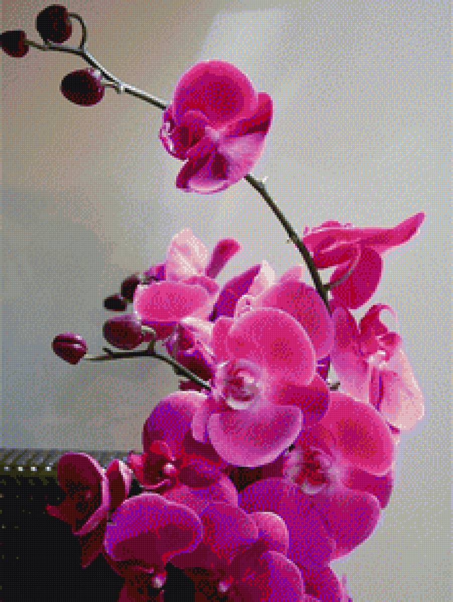 На счастье - цветы, букеты - предпросмотр