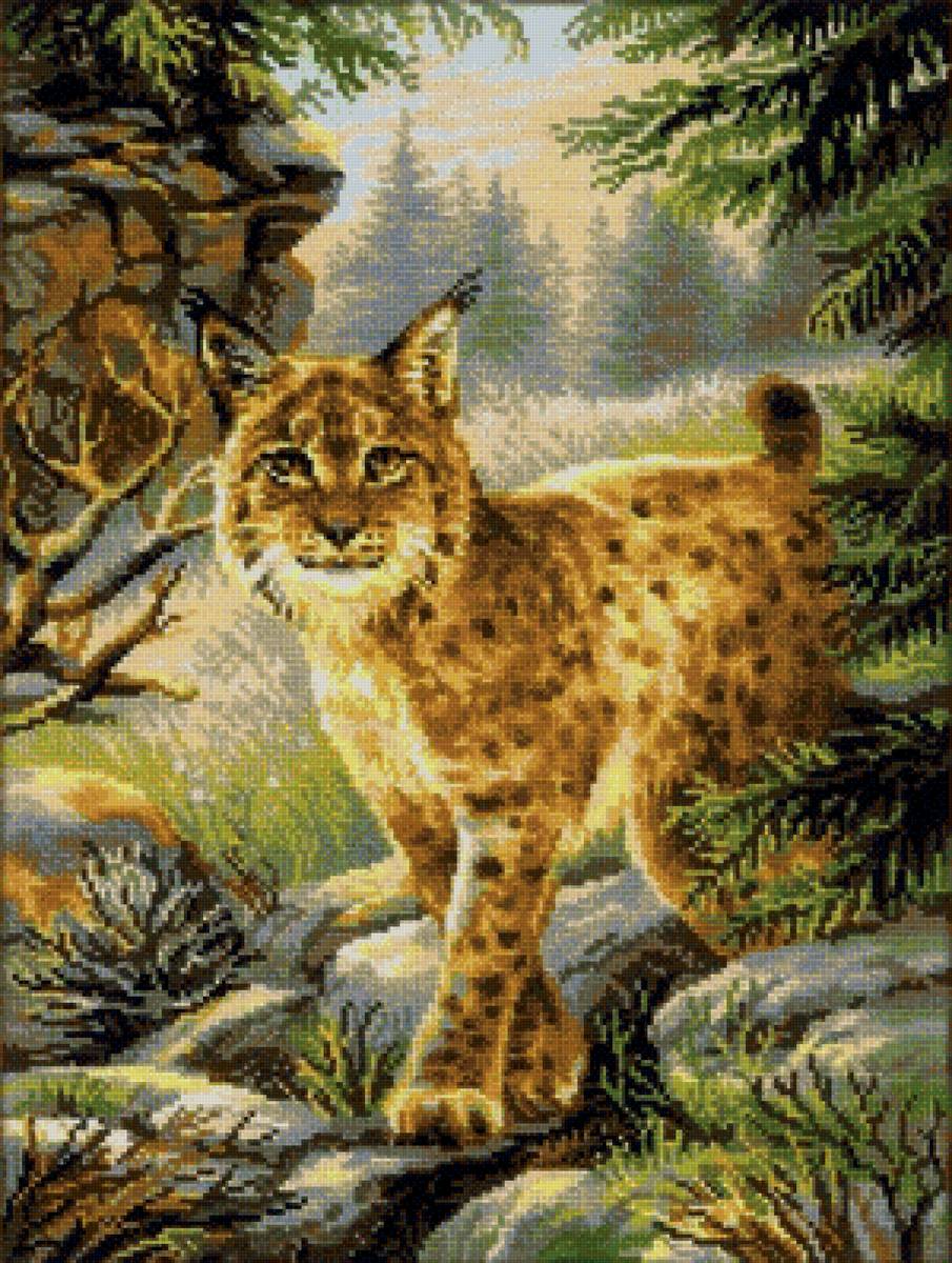 №2087934 - предпросмотр