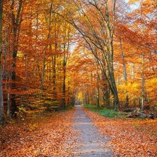 Схема вышивки «пейзаж»