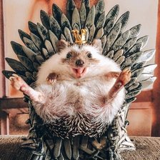 Схема вышивки «ежик»