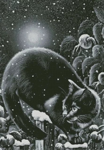 Гуляет при луне - животные, коты - оригинал