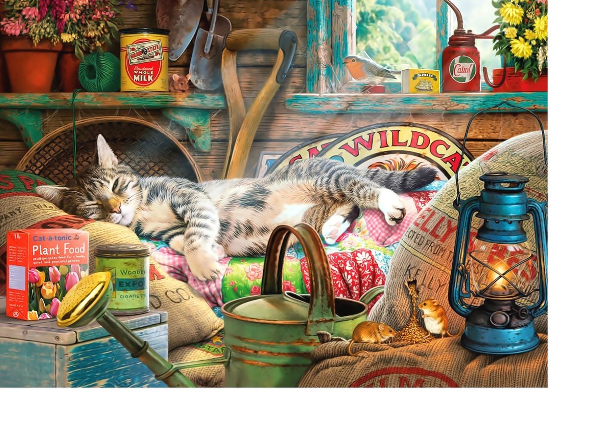 №2089426 - животные, коты - оригинал