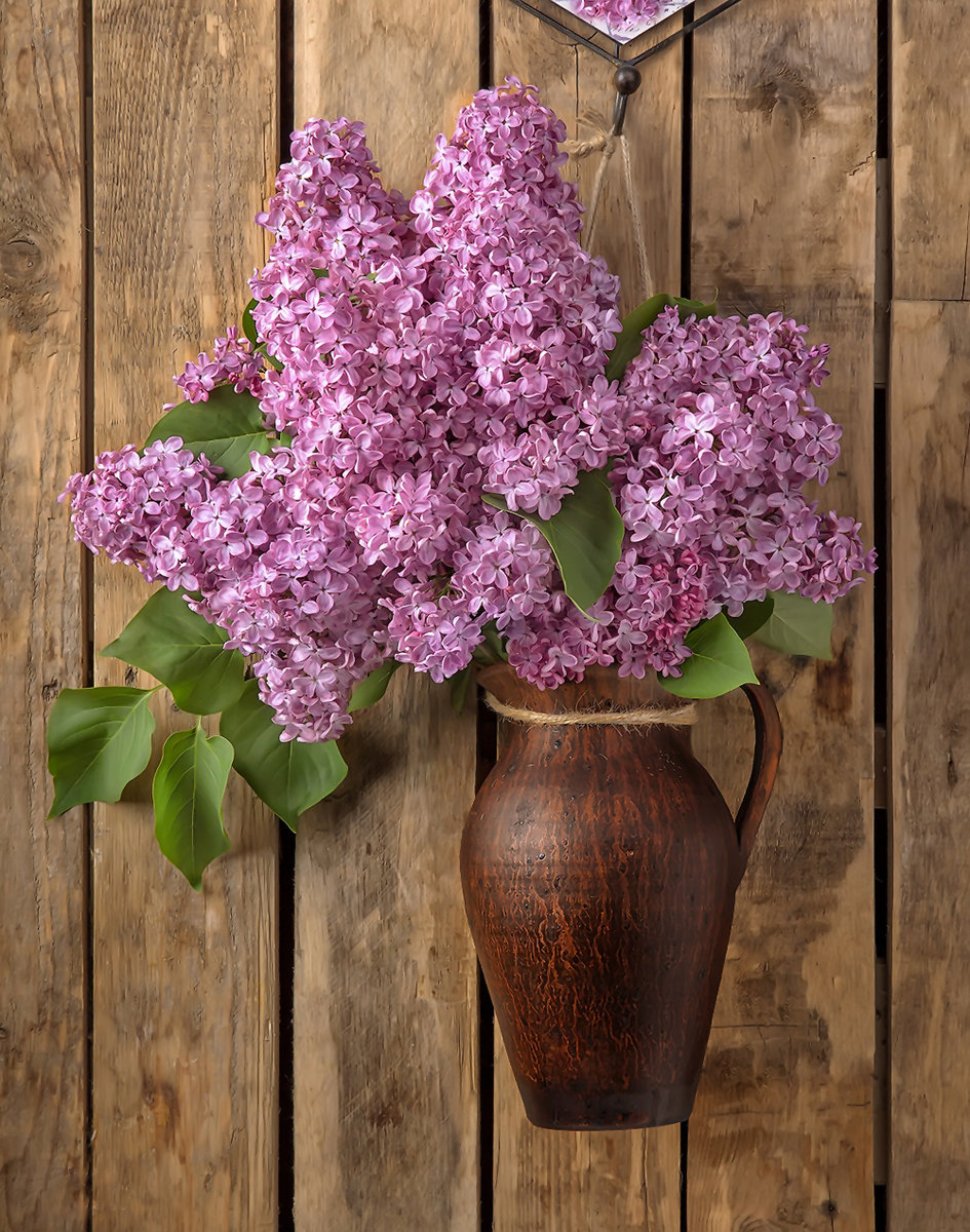 №2089465 - сирень, цветы, натюрморт - оригинал