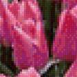 Предпросмотр схемы вышивки «поле тюльпанов» (№2089607)