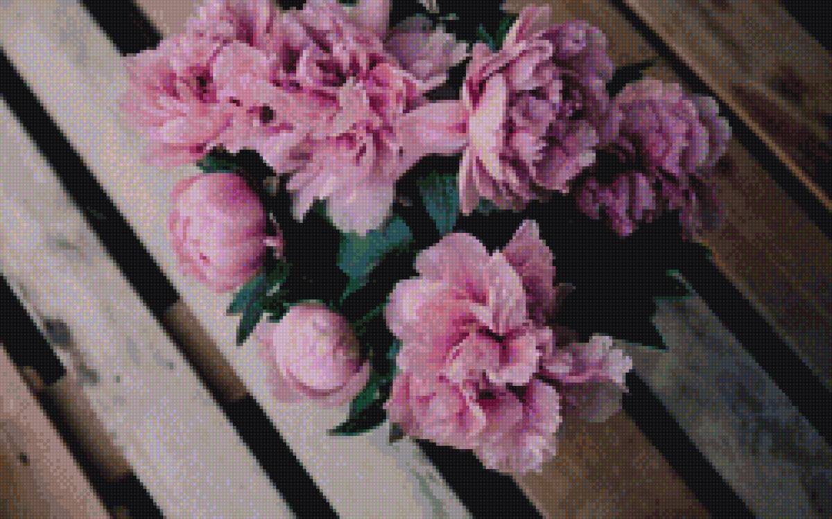 пионы - предпросмотр