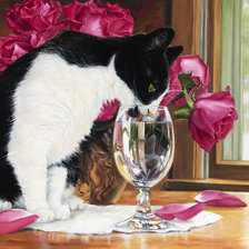 Кот в лаванде.