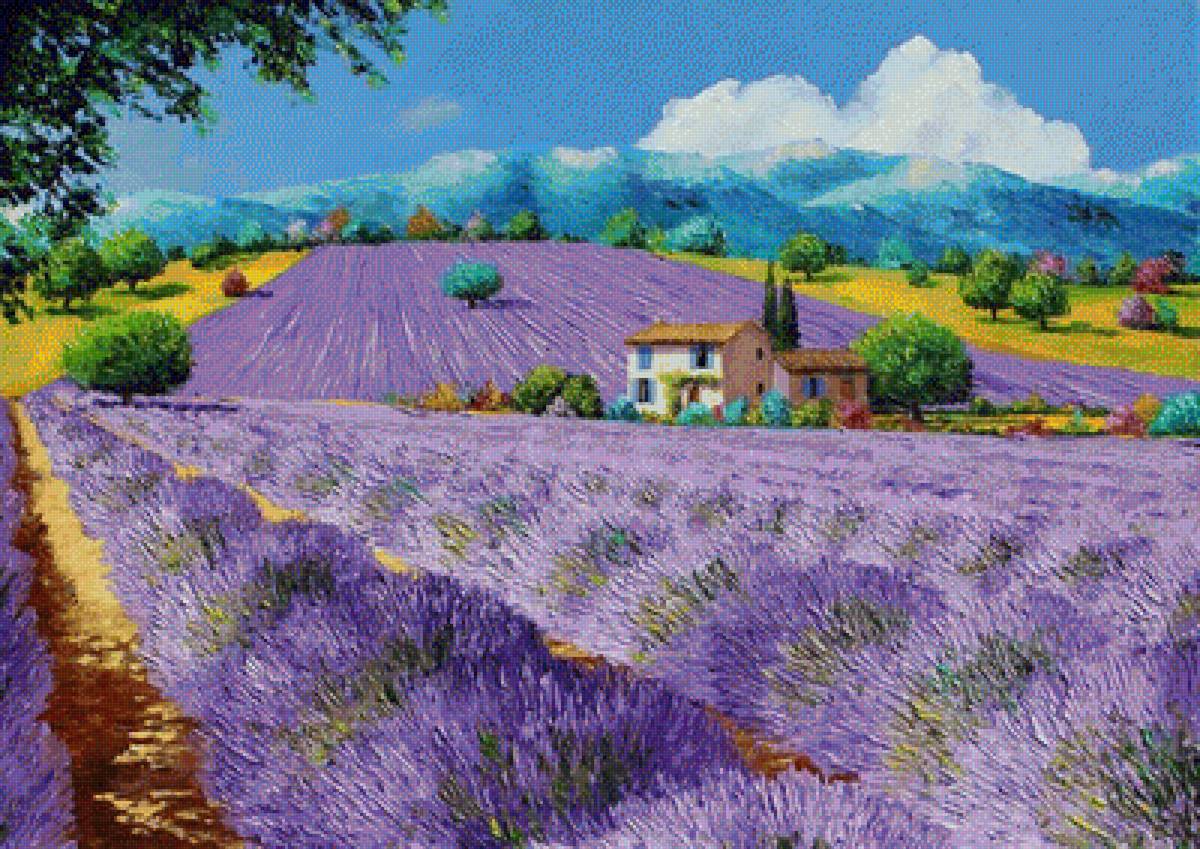 Лавандовые поля 2 - поле, пейзаж, лаванда - предпросмотр