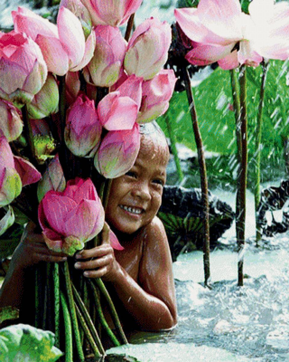 Цветы на бали. Лотос Тайланд. Долина лотосов Тайланд. Цветы Вьетнама. Балийский цветок.
