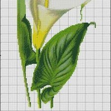 Схема вышивки «cala2»