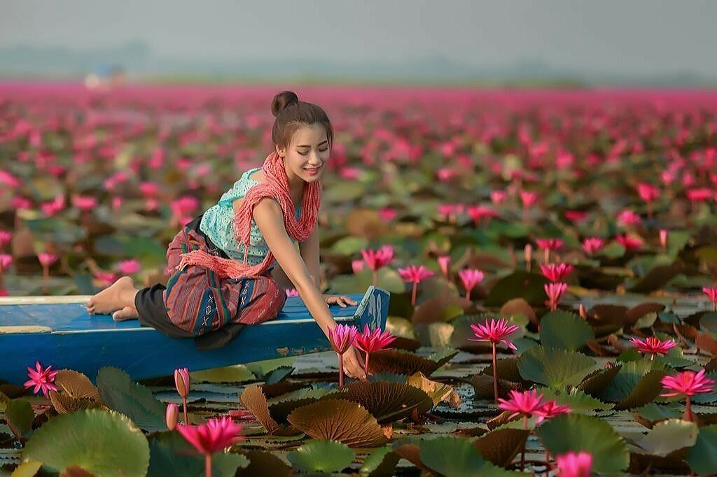 Тайка в лодке на озере лотосов - лотосы, красивая восточная девушка, вода, лодка, цветы, озеро - оригинал