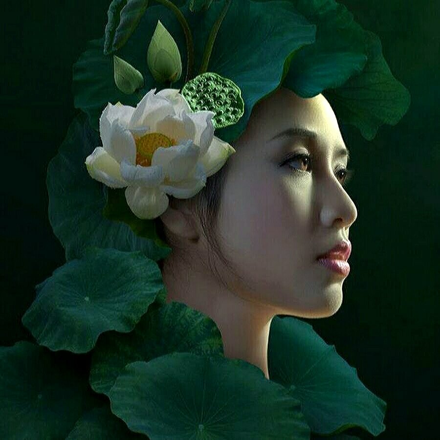 Девушка-Лотос большая - цветок, душа лотоса, красивая восточная девушка, портрет - оригинал