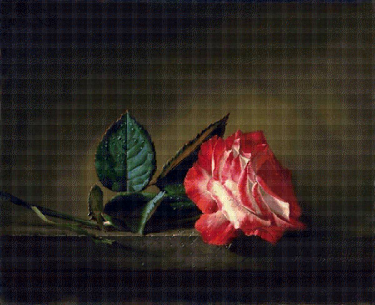 Натюрморт 18. Алексей Антонов - роза, натюрморт, цветы, живопись - предпросмотр