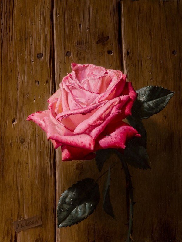 Натюрморт 21. Алексей Антонов - роза, натюрморт, живопись - оригинал