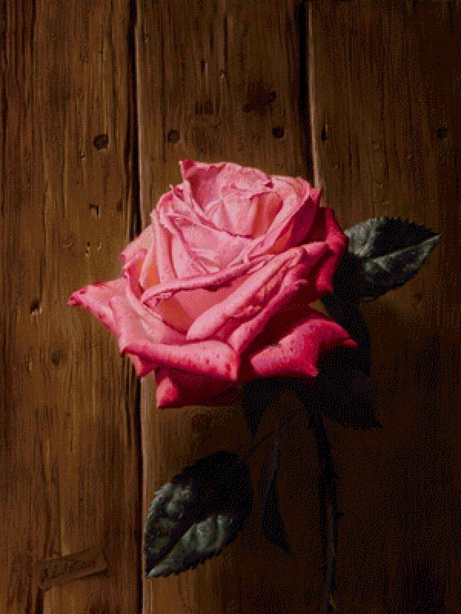 Натюрморт 21. Алексей Антонов - натюрморт, живопись, роза - предпросмотр