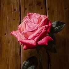 Схема вышивки «Натюрморт 21. Алексей Антонов»