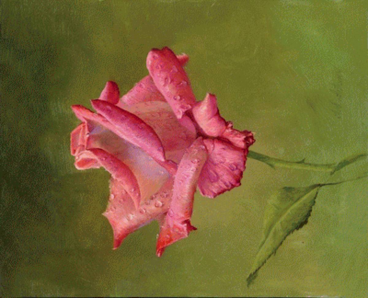 Натюрморт 24. Алексей Антонов - живопись, роза, натюрморт - предпросмотр