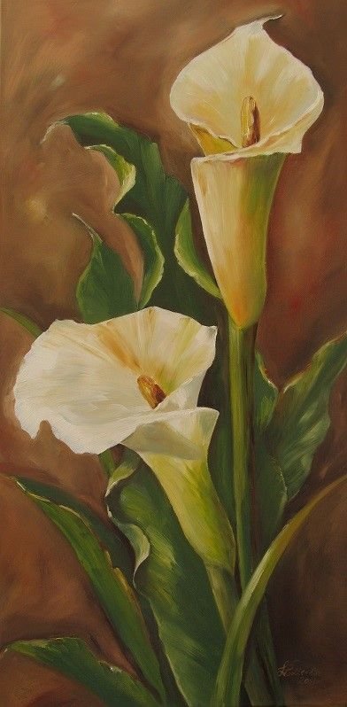 cala 4 - оригинал