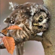 Схема вышивки «№2092946»