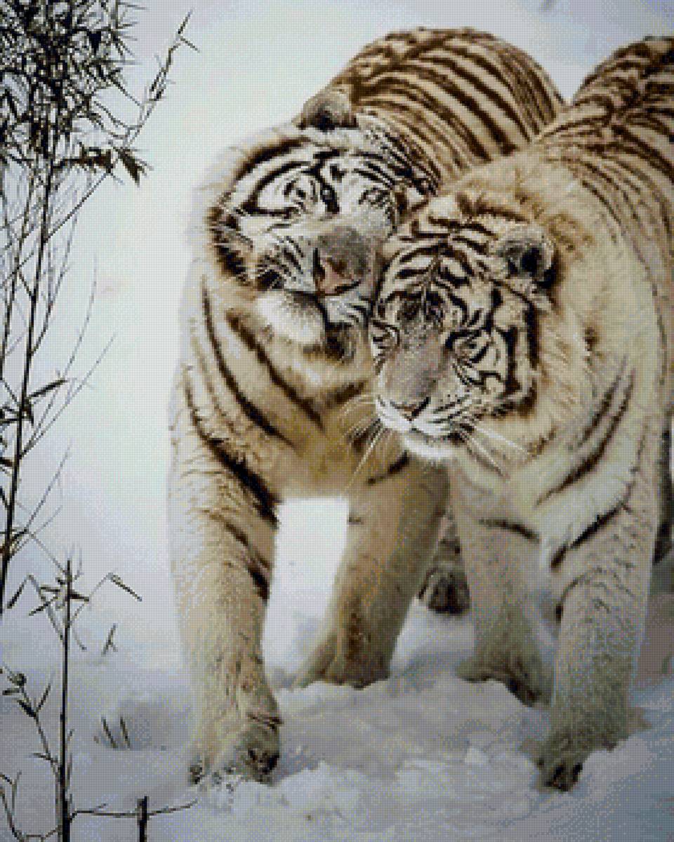 дикие - предпросмотр