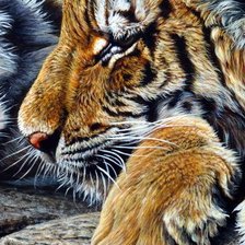 Схема вышивки «дикие»