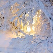 Схема вышивки «утро в зимнем лесу»