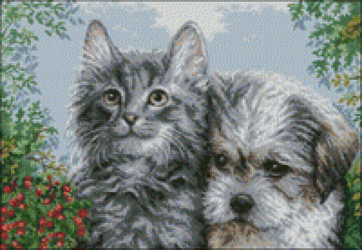 друзья - предпросмотр