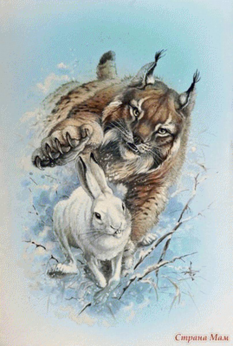 охота - заяц, рысь, природа - предпросмотр