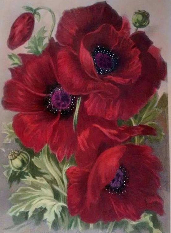 flori - оригинал