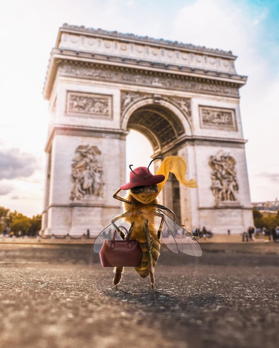 №2093754 - пчела франция мост лето насекомые - оригинал