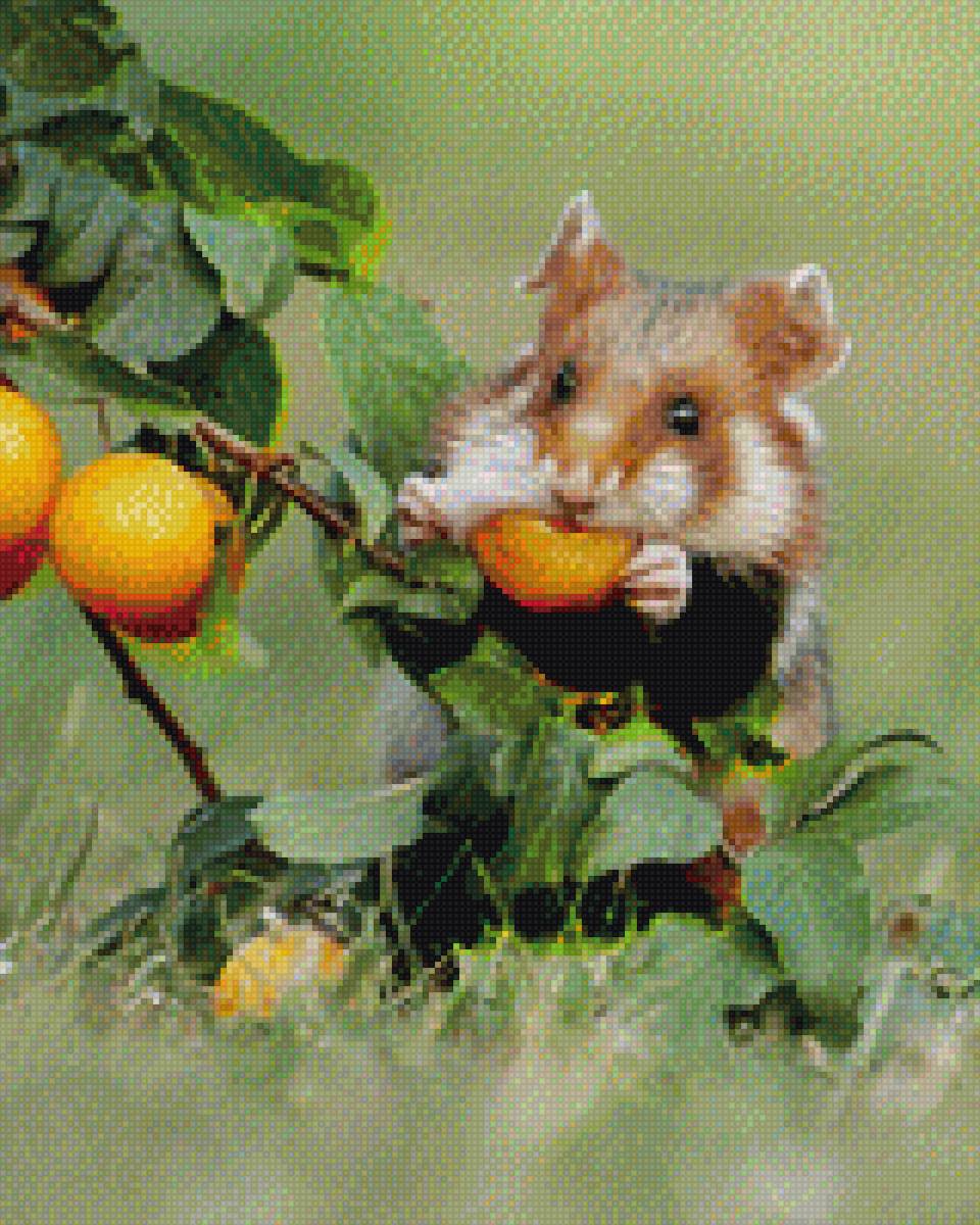 №2093771 - хомяк апельсин дерево трава - предпросмотр