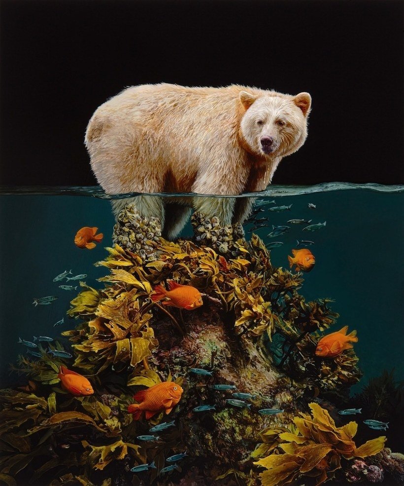 №2093805 - медведь рыбы озеро море кораллы - оригинал