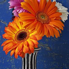 Схема вышивки «Герберы»