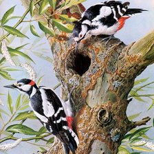 Схема вышивки «птицы»