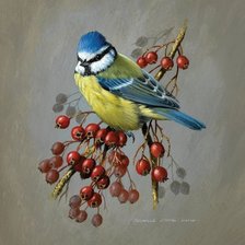 Схема вышивки «птицы»