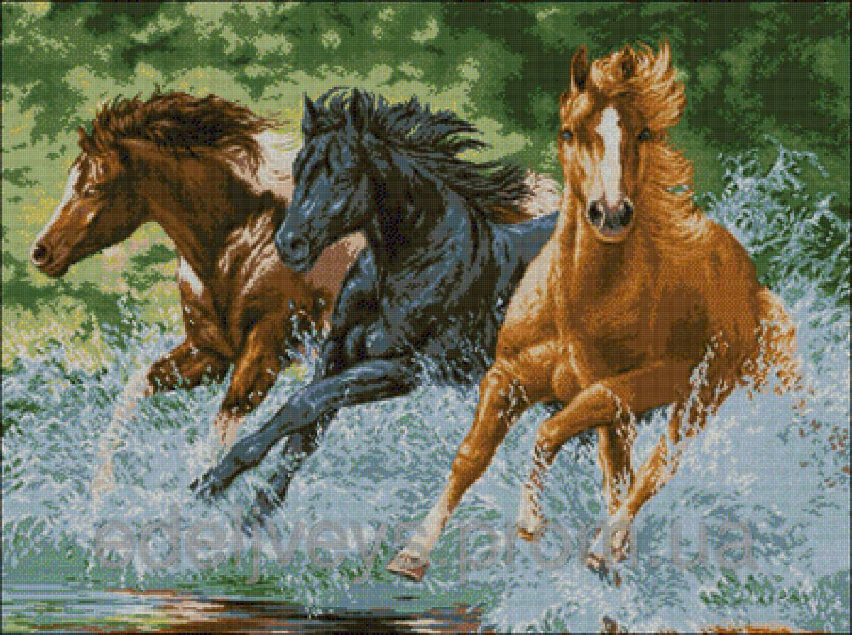 лошади - предпросмотр