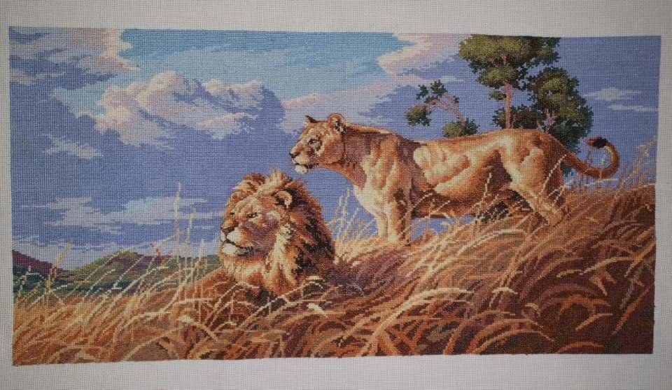 львы - оригинал