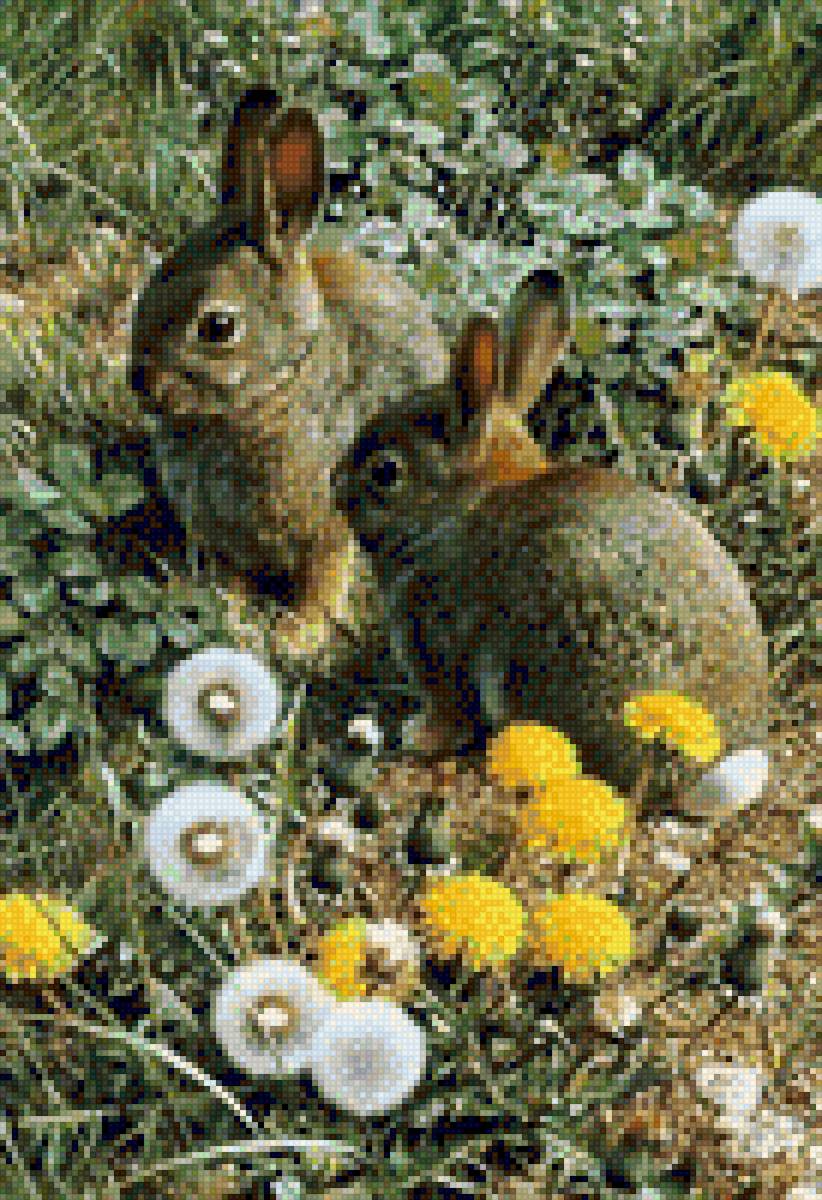 зайчики - предпросмотр