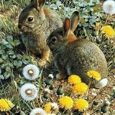 Схема вышивки «зайчики»