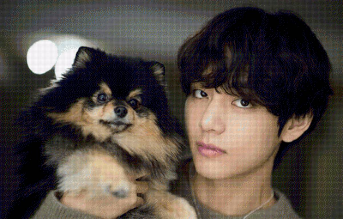 BTS V - предпросмотр