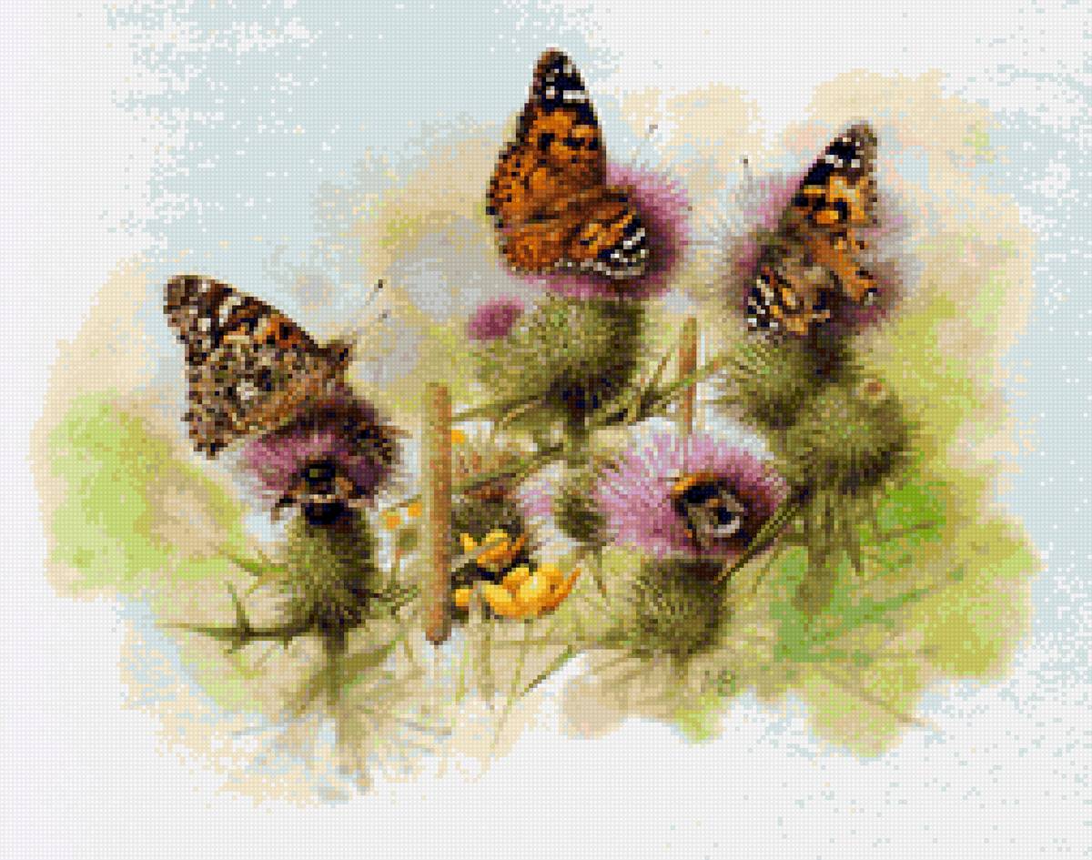 природа - бабочки, пчелы, чертополох, шмели, репей, растение - предпросмотр