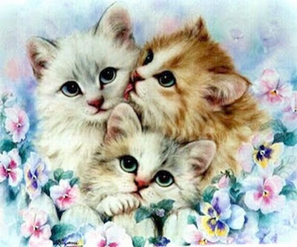 Котики - кошки, котята - оригинал