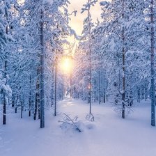 Схема вышивки «№2094539»