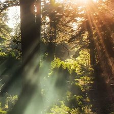 Схема вышивки «№2094816»