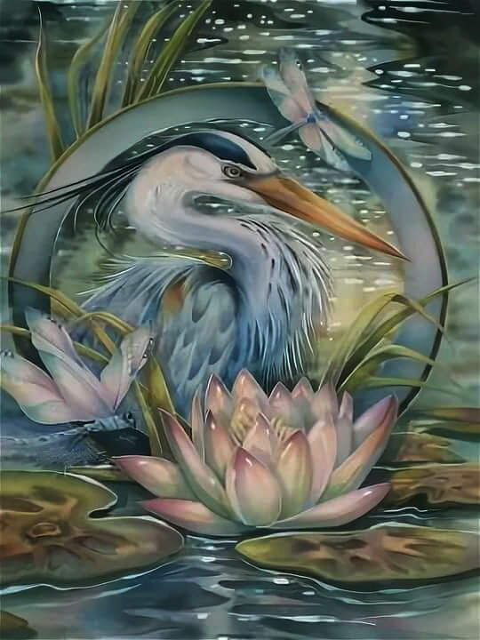 цапля - цапля - оригинал