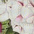 Предпросмотр схемы вышивки «№2094827»