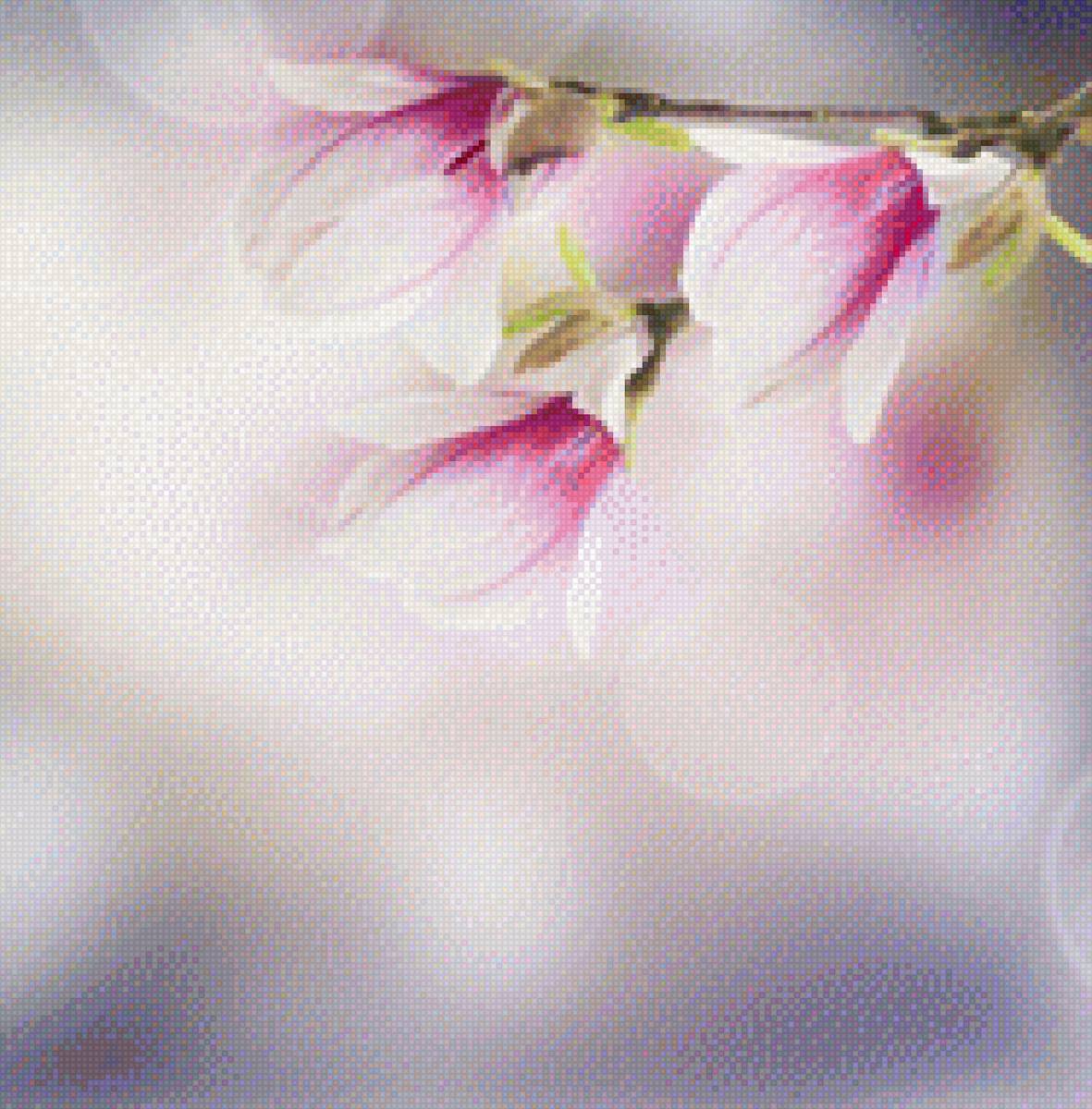 Магнолия - магнолия, цветы, подушка, ветка - предпросмотр