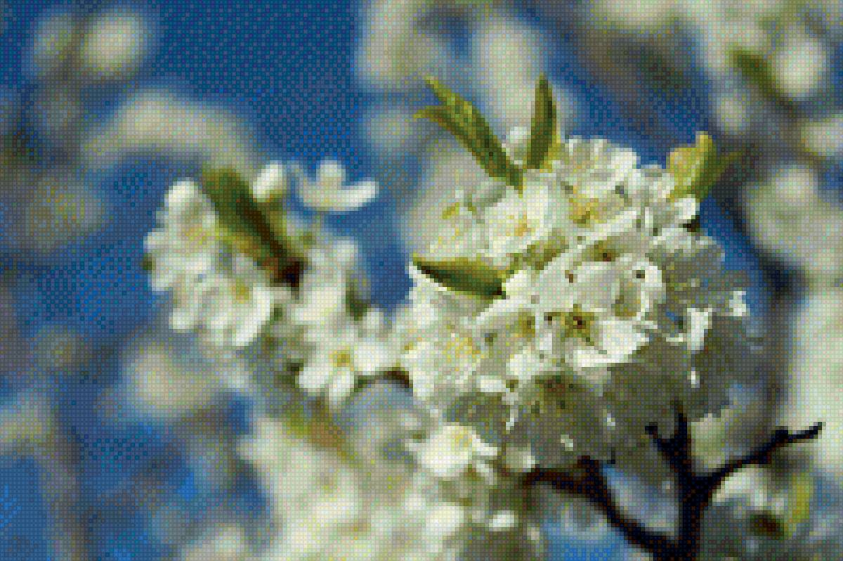 Яблоня - яблоня, цветы - предпросмотр